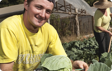 The family farmer who now sells straight to the school next door